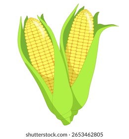 Dois milho doce amarelo maduro com folhas verdes sobre fundo branco. Ilustração vetorial vegetal para ingredientes, planilha infantil, impressão.