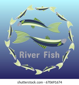 Two river fishes in the circle of many others on a gradient background