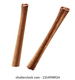 Two rolled sticks of cinnamon. Vector illustration. Fragrant spices for making mulled wine, coffee and baking.