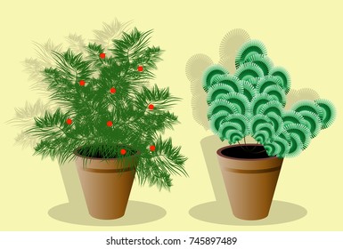 Two Room Plants in Pots. Vector Set