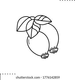 Two Rose Hip Berries Vector Icon In Outlines