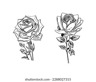 Two Roses Coloring Book showcases stunning depictions of two individual Roses.