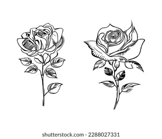 Dos Roses Coloring Book muestran impresionantes representaciones de dos rosas individuales.