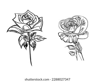 Zwei Roses-Farbbücher zeigen atemberaubende Darstellungen von zwei einzelnen Rosen.