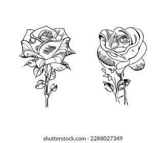 Two Roses Coloring Book showcases stunning depictions of two individual Roses.