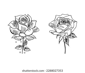 Two Roses Coloring Book showcases stunning depictions of two individual Roses.