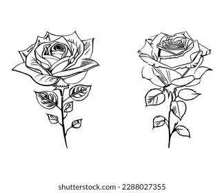 Dos Roses Coloring Book muestran impresionantes representaciones de dos rosas individuales.