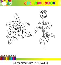 Two roses, flowers coloring book.