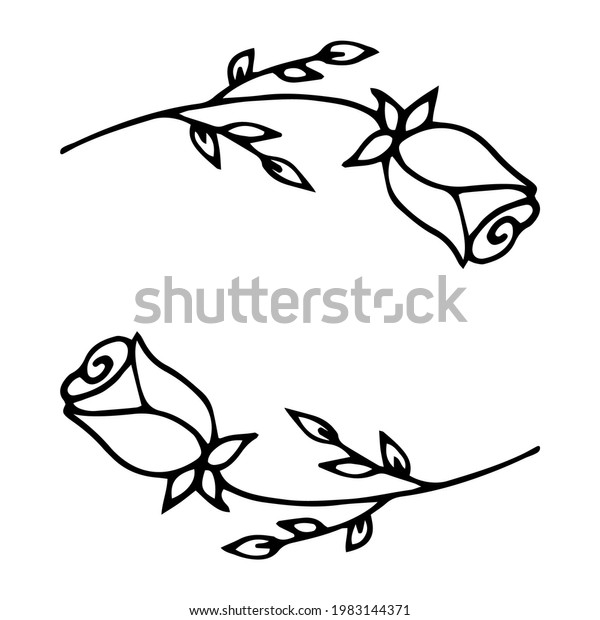 Two Roses Isolated Outline Vector Illustration Stock Vector (Royalty ...