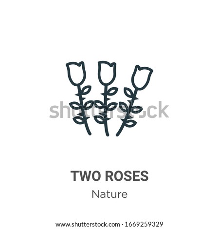 Two roses outline vector icon. Thin line black two roses icon, flat vector simple element illustration from editable nature concept isolated stroke on white background