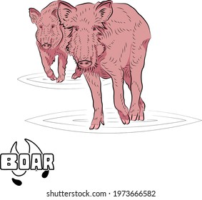 Two running small pigs. Pink tones.  