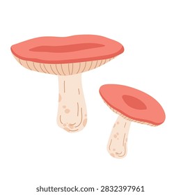 Two russula mushrooms in a simple flat vector style. Edible forest mushrooms on a white background.