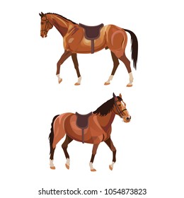 Two saddled horses, side view and semi-front. Vector illustration isolated on white background