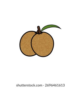 Dos frutos de sapodilla y una Ilustración vectorial de hoja