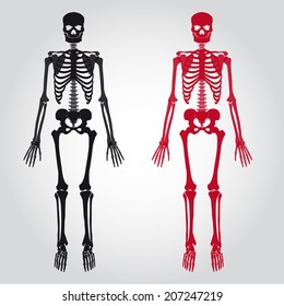 two scary red and black skeletons created from human bones eps10