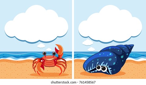 Two scenes with crab and shell illustration