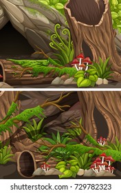 Two scenes of forest with logs and fern illustration