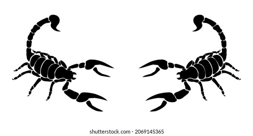 Two Scorpions cartoon, Scorpions picture for tattoo on white background. EPS.file