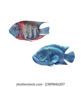 Two sea fish. Sea life. Vector illustration in watercolor style. Design element for greeting cards, food packaging, covers, themed banners and flyers.