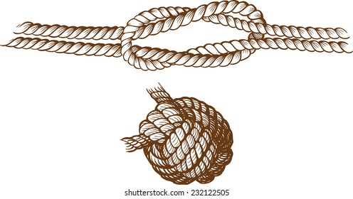 two sea knot as engraving drawn and isolated on a white background