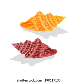 Two sea shells  Vector Illustration