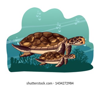 two sea turtle swimming together icon cartoon at the bottom of the sea with underwater vegatation vector illustration graphic design