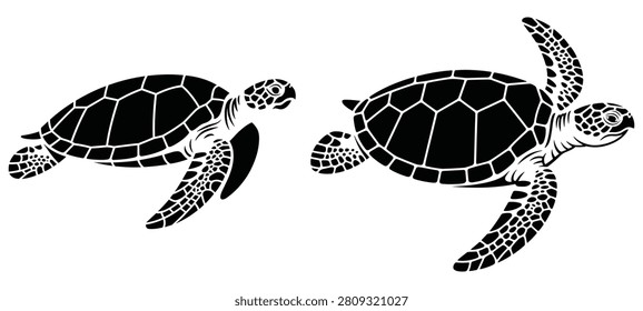 Two Sea Turtles Black Silhouette On White Background