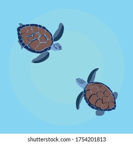 two sea turtles in the ocean with aerial view