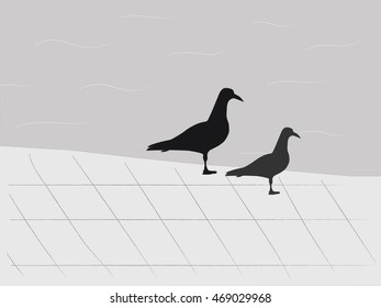 two seagulls on a dock