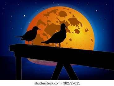 Two seagulls on a moon background. Colorful vector.