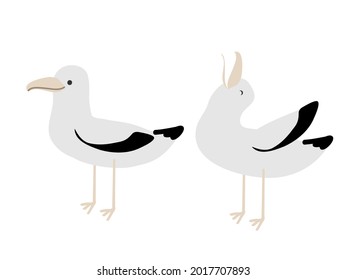  
two seagulls on the white background