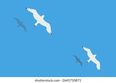 Two seagulls soar over the surface of the sea or ocean. Shadows of the birds are reflected in the water.
