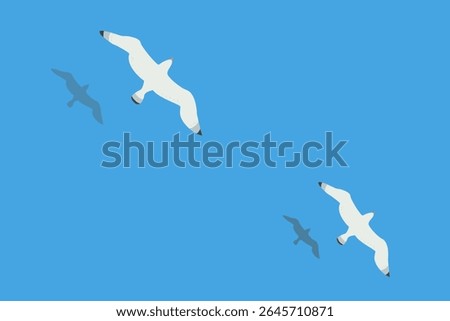 Two seagulls soar over the surface of the sea or ocean. Shadows of the birds are reflected in the water.