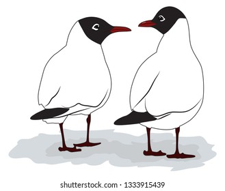 Two seagulls turned its back and look at each other. Vector illustration