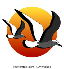 Two seagulls. Vector image on white background.