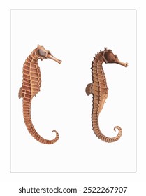 Two seahorses facing in profile, textured with ridged bodies, curled tails, set against a light background.