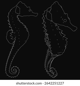Two seahorses silhouetted against a black background, their delicate fins and tails gracefully intertwined. Facing each other with closed eyes, they evoke a serene and peaceful moment.
