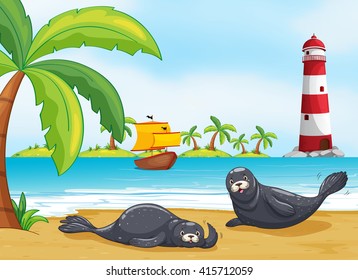 Two seals on the beach illustration
