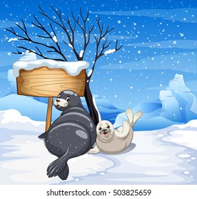 Two seals on snowy day illustration