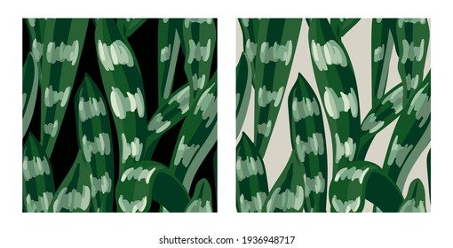 Two seamless backgrounds with houseplant leaves. Leaves on a dark and light endless background. Sansevieria leaves.