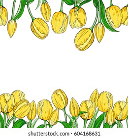 Two seamless borders with flowers tulips on white background. Vector illustration