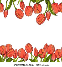 Two seamless borders with flowers tulips on white background. Vector illustration