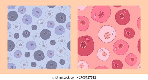 dos modelos sin fisuras con arándanos silvestres, bayas, lingonerías y arándanos. Diseño abstracto moderno para embalaje, papel, cubierta, tela