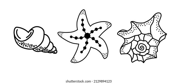 Dos conchas. Ilustración vectorial monocroma en estilo doodle. Iconos de contorno, insignias.