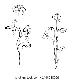 two separate decorative flowers on tall stems with leaflets and curls in black lines on a white background