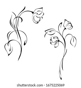 two separate stylized twigs with flower buds, leaflets and curls in black lines on a white background