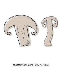 two set of sliced mushroom. Abstract modern set of mushroom icons isolated on a white background. For internet, printing, product design, logo. Line, contour. Vector hand-drawn flat illustration.