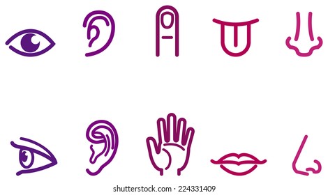 Two sets of icons representing the five senses