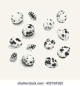 Two sets of quail eggs:  with and without shadows