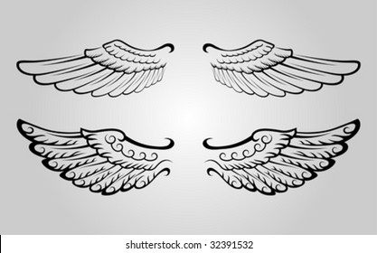 Two sets of wing vector